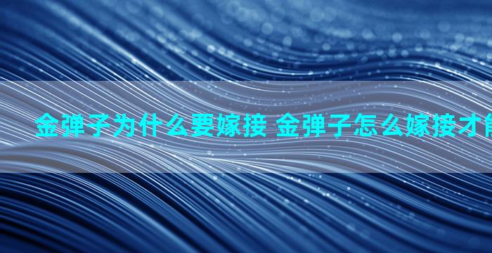 金弹子为什么要嫁接 金弹子怎么嫁接才能雌雄同株